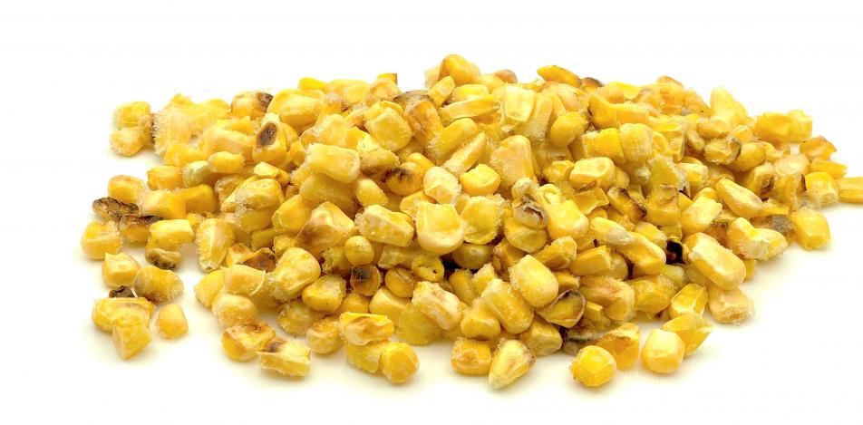 Frozen Corn Kernels, grilled, iqf., Andreas Wendt GmbH